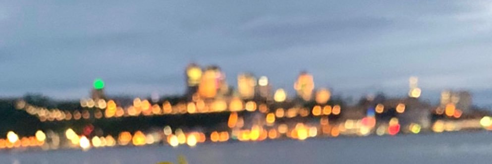 nicki_hermann's profile banner image