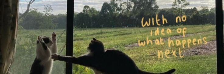 sonaintan's profile banner image