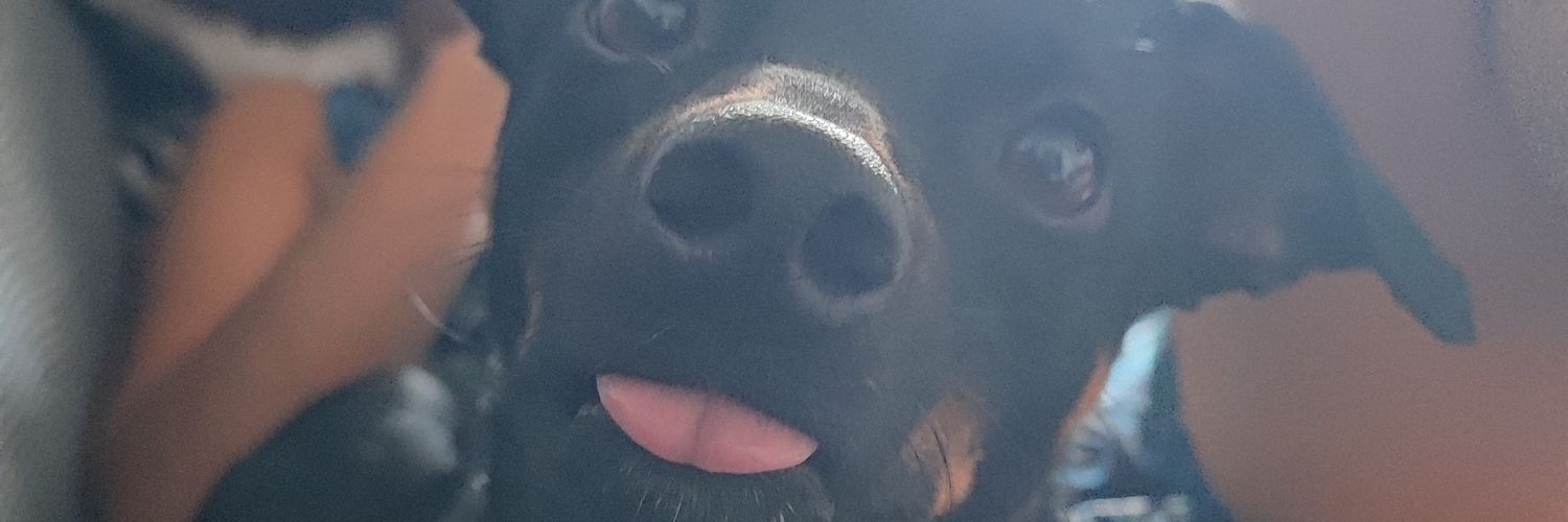 Pret1um's profile banner image