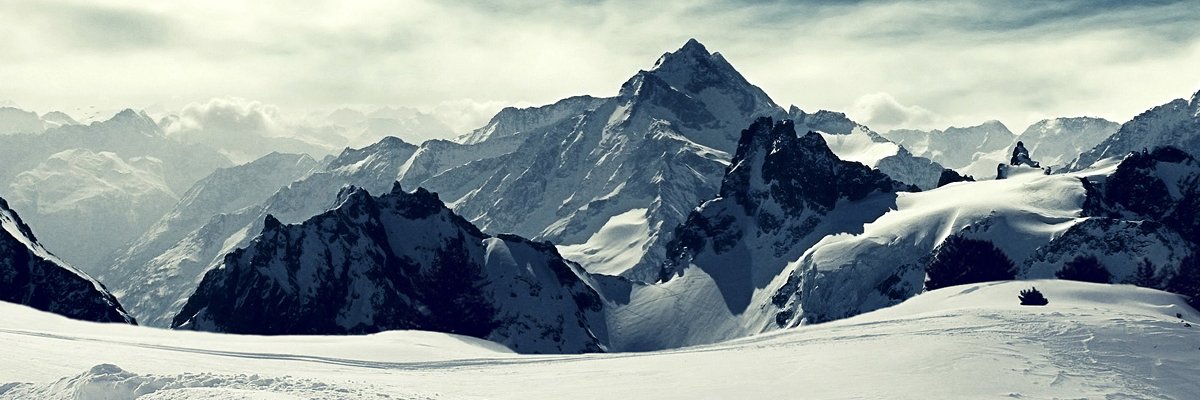 Alfredo Jahn banner