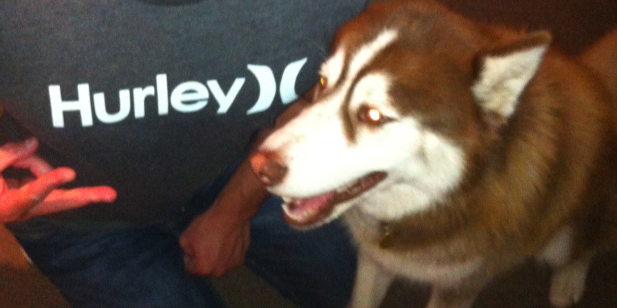 HuskeyThorBitch's profile banner image