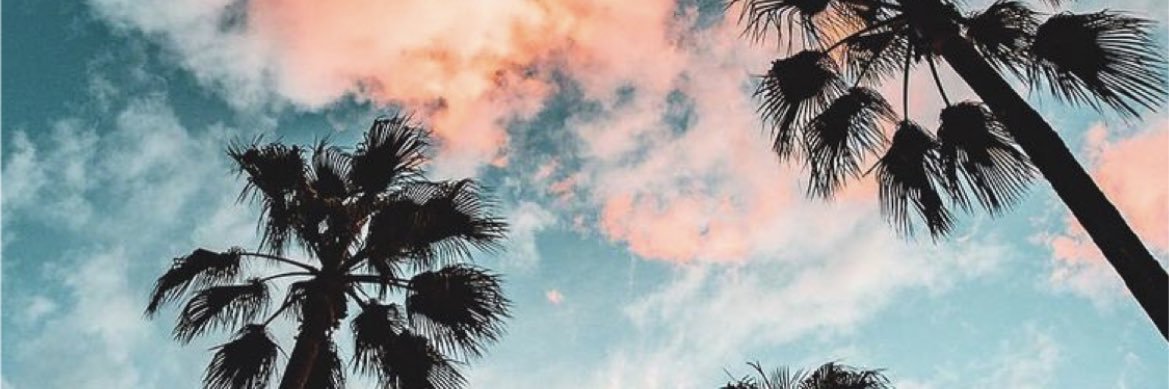 destinykk_'s profile banner image