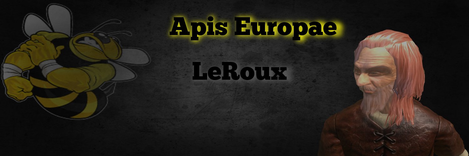 LeRouxTheBee's profile banner image