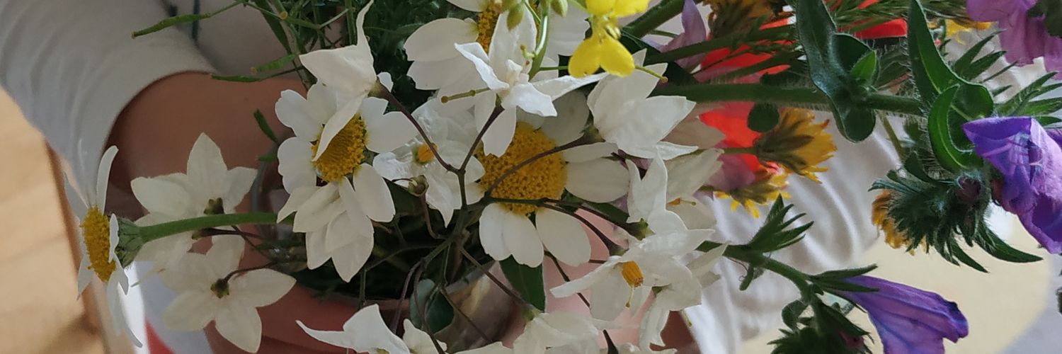 AdaTuruleta's profile banner image