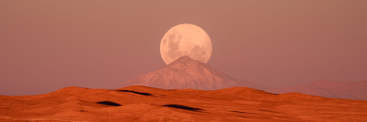 وبیده جان banner