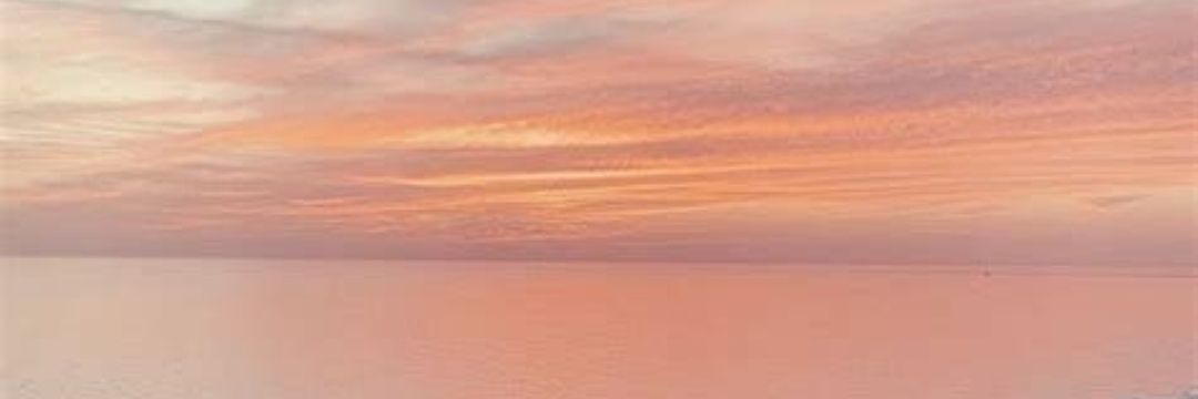 𝐀𝐈𝐍𝐎𝐀 banner