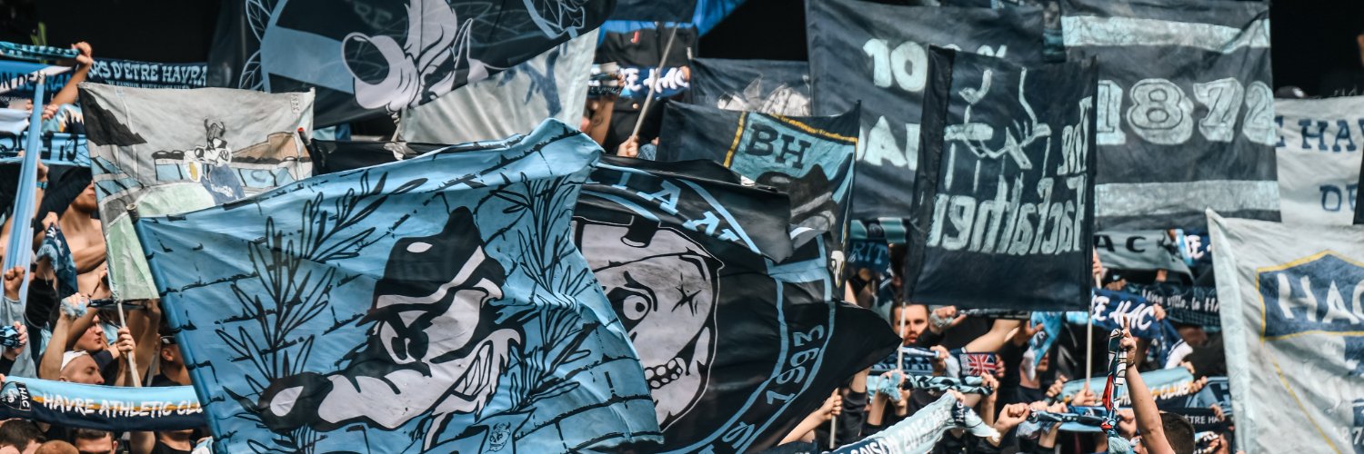HavraisDeter banner