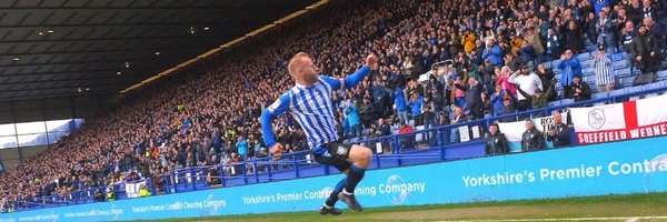 HarryTheHoot Profile Banner