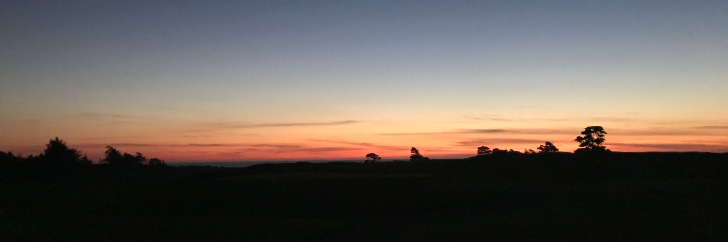 Robert Gilham 📎 banner