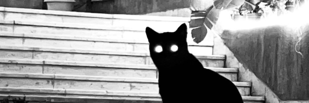drovetohell's profile banner image