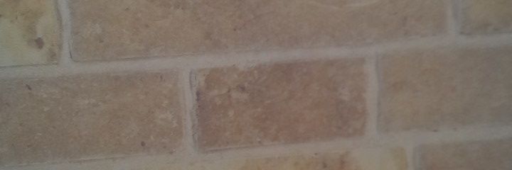 James Champion banner