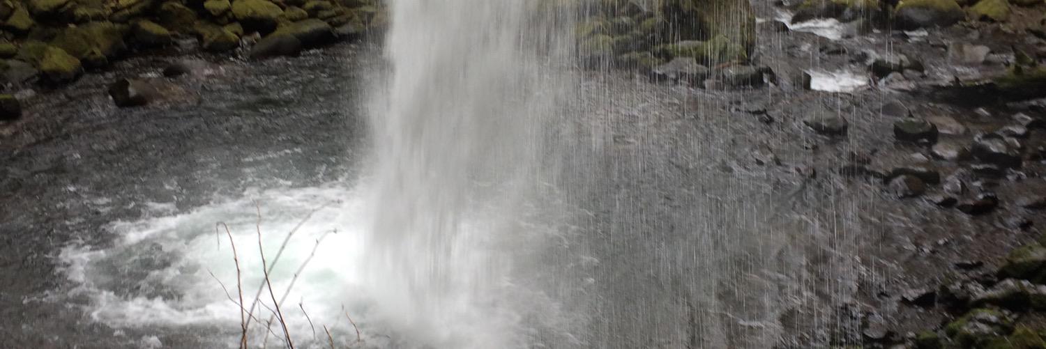 ashrene12's profile banner image
