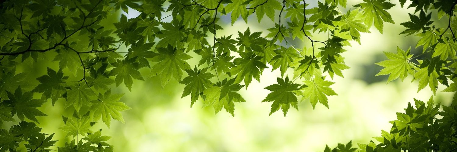 cao_nv91's profile banner image