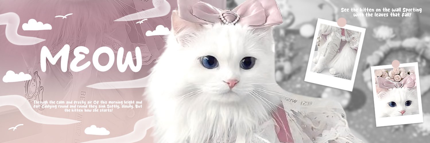 jasa hapus akun ✧ banner