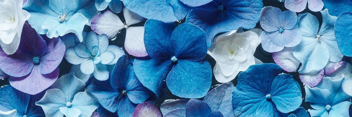 miii⸝⋆☕️🐈 banner