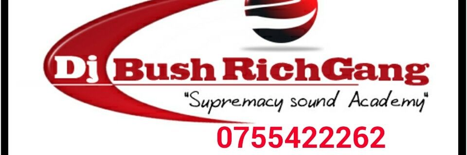 BushSebahire's profile banner image