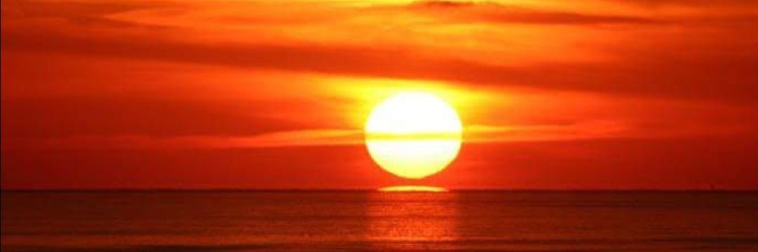 Alicia CoiCha banner