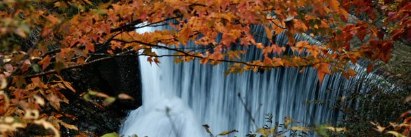 hamutahamuhamu Profile Banner