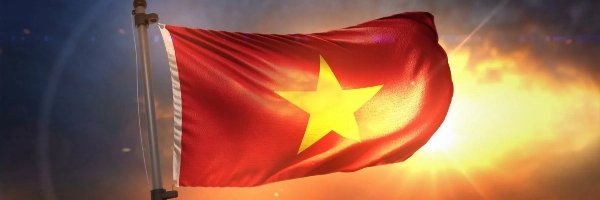 vangle ☂️ banner