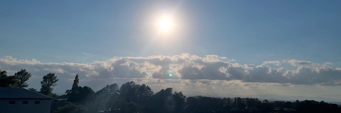 お団子🍡 banner