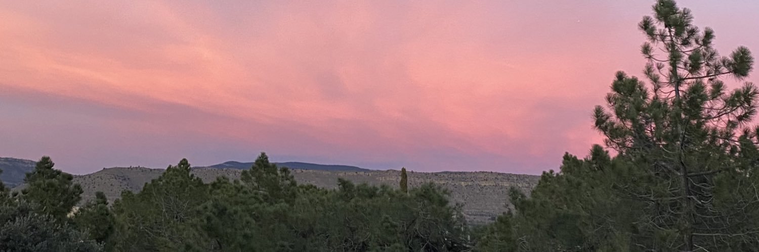 lauratorann banner