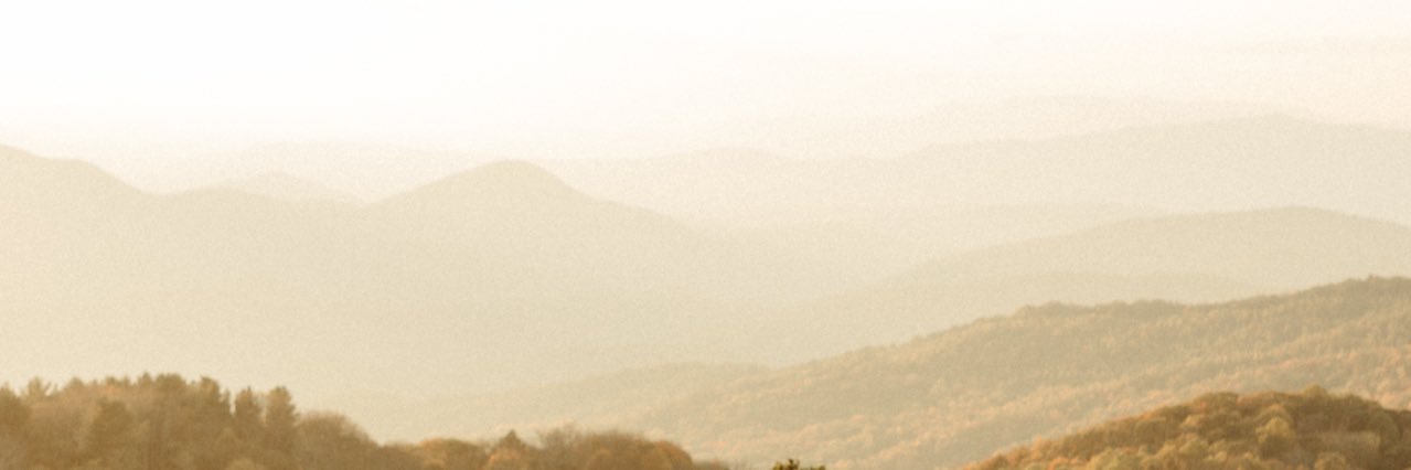 neil_noah's profile banner image