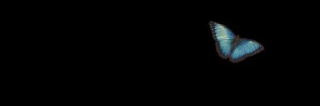Coloolopez_'s profile banner image
