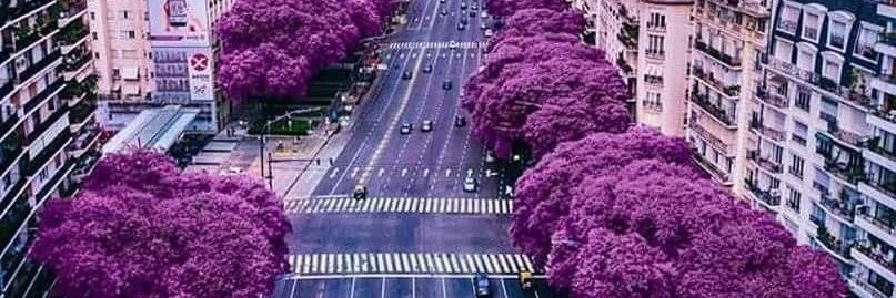 Milena Da Silva banner