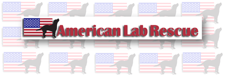 AmLabRescue's profile banner image