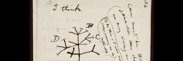 _MarcoDeMartino Profile Banner