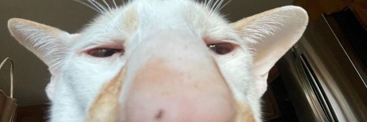 Tuki highlights banner