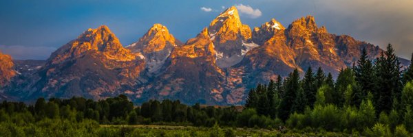 OneForAllSocial Profile Banner