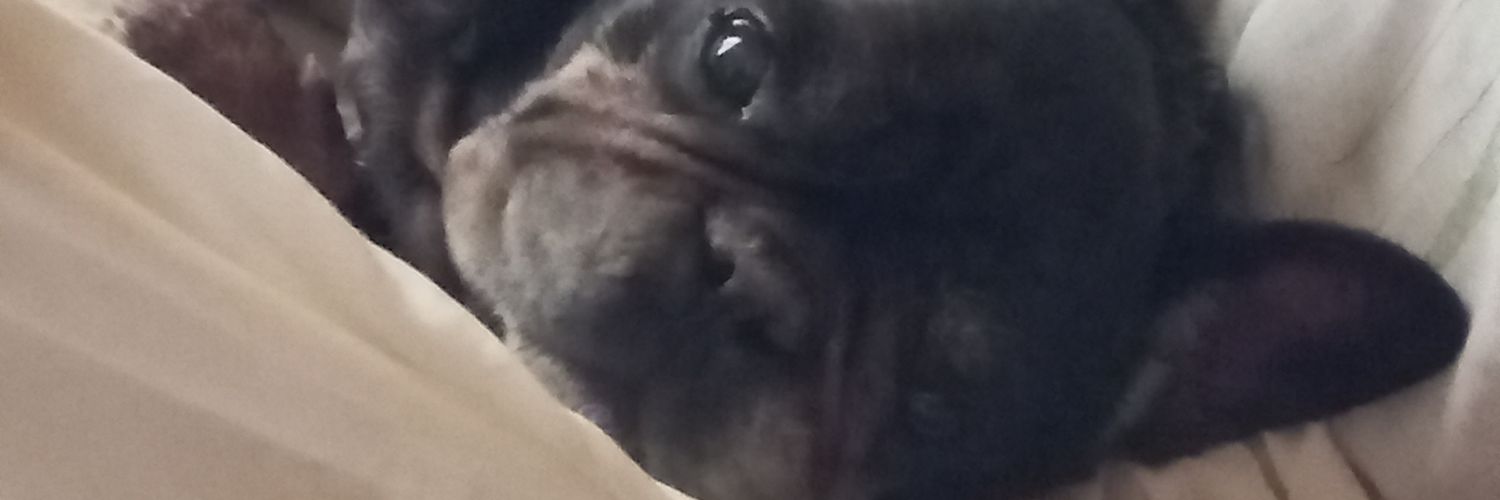 Rita Ghillini banner