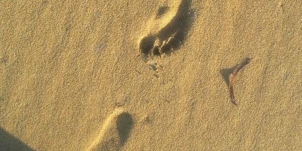 𝒩𝑜𝑜𝓇 ⵜⴰⴼⴰⵜ banner