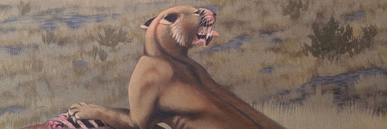 Morphology & Ecology Across Time Lab at Gonzaga banner