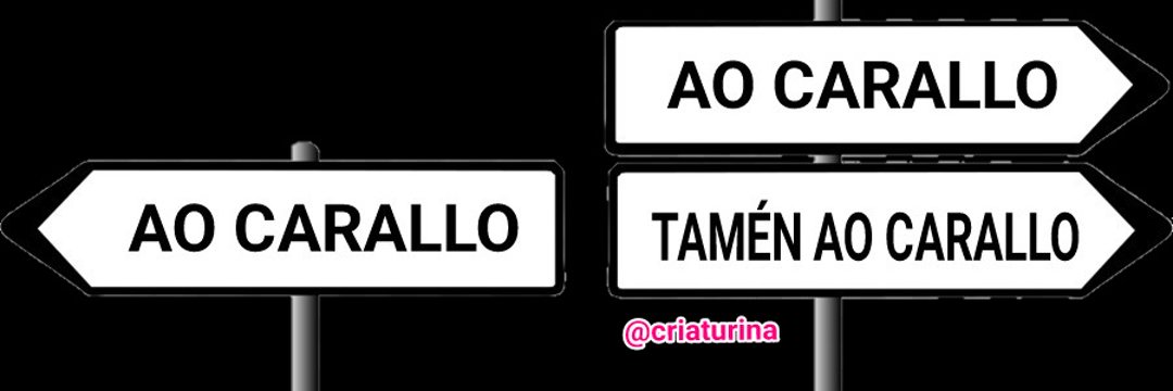 Benita dos Carallos's banner