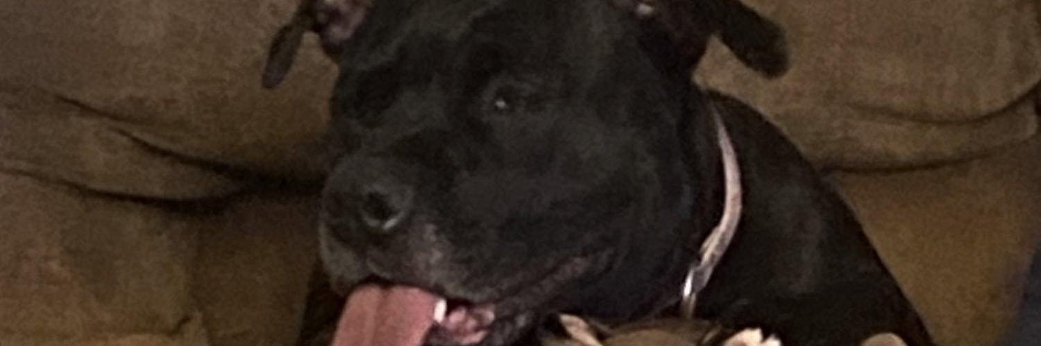 levibliss12's profile banner image