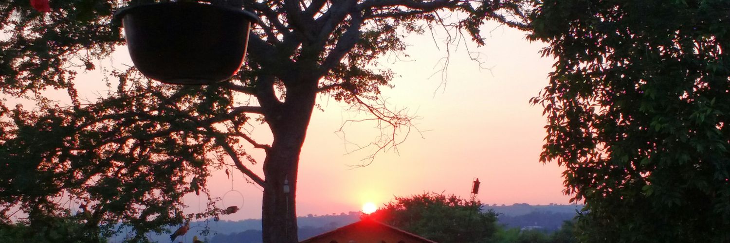 h_anaya's profile banner image