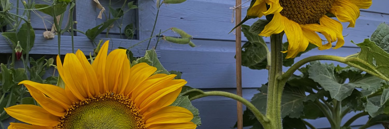 Chloe banner