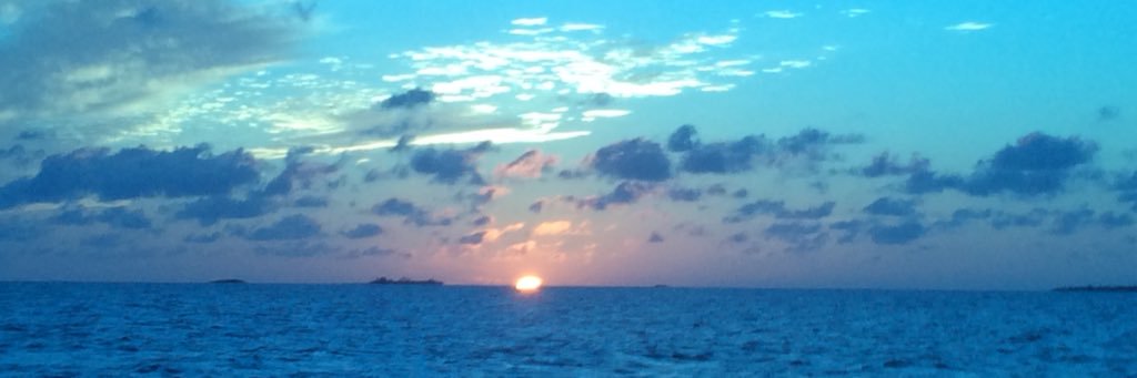 BDavidRowe's profile banner image