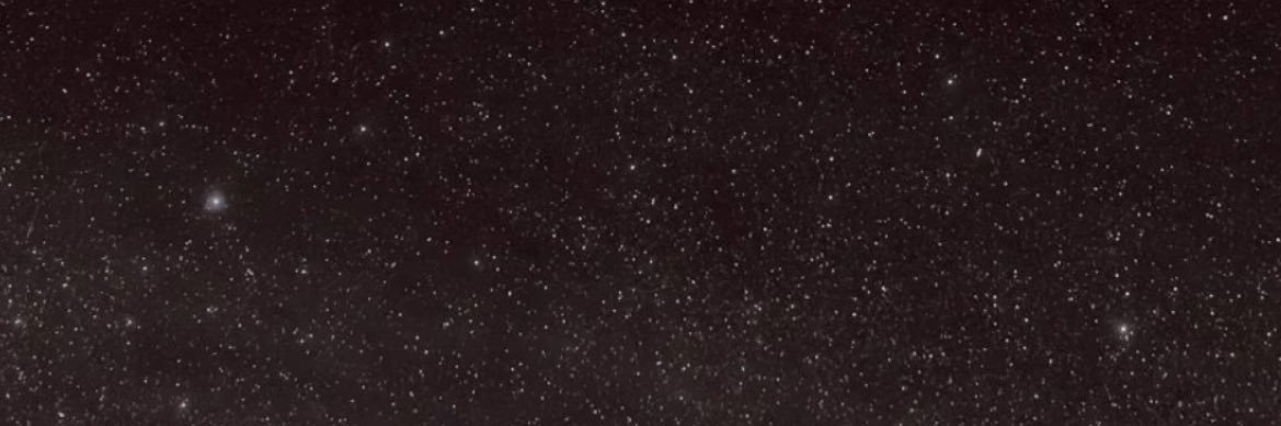 Petit bleu 👮🏽‍♂️ banner