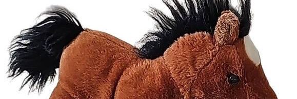 pulp praline ⚢ banner