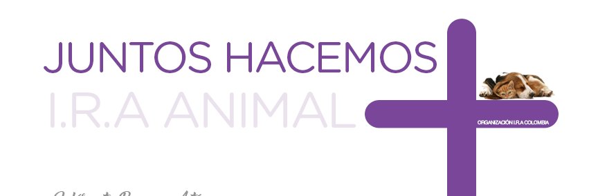 IRAorg's profile banner image