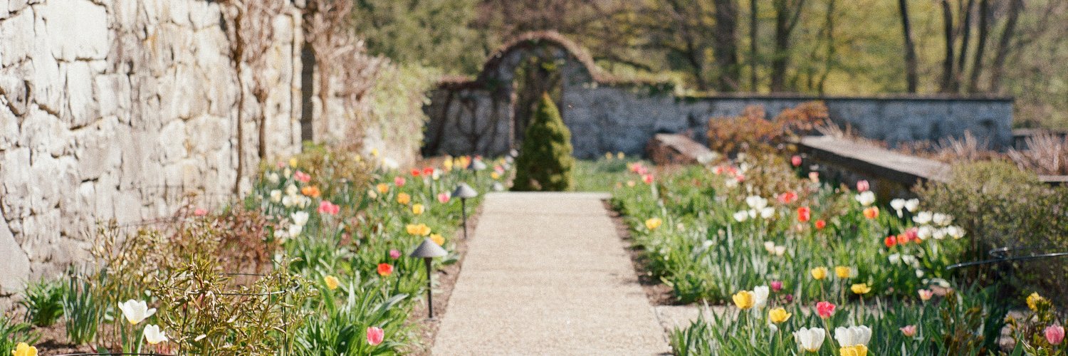 Melanie Shapiro banner