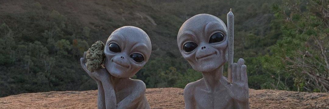 alienmacoeiro's profile banner image