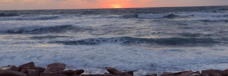 AlexisGrimberg's profile banner image