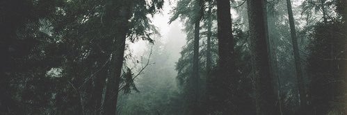 dozackk's profile banner image