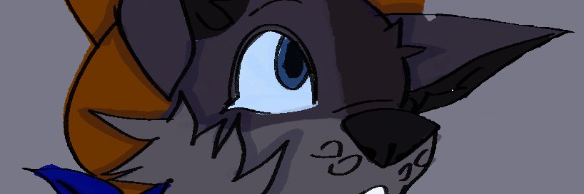 Spade The Yote banner