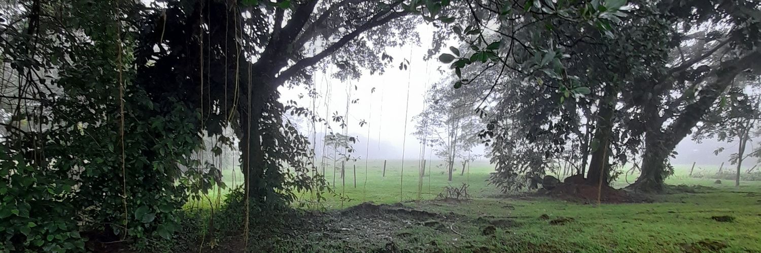 alejandro serrano banner