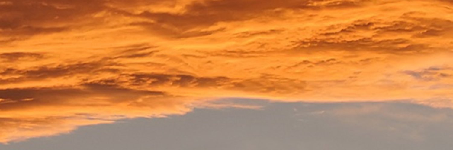 Chokcha2232's profile banner image
